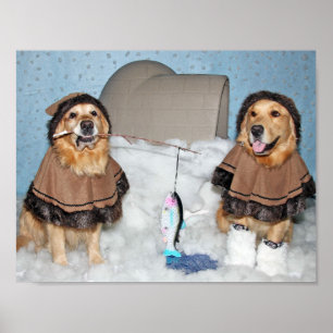 Poster Ouro Retriever Eskimos