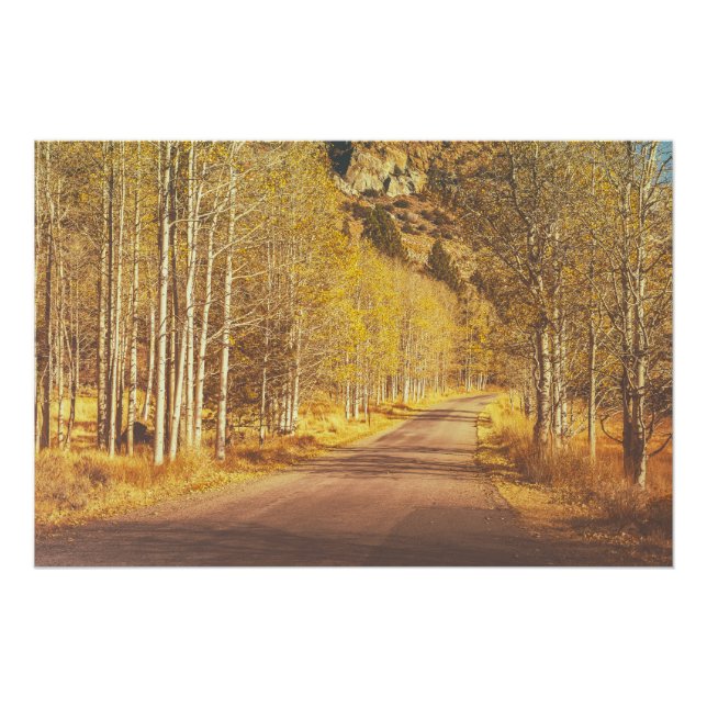 Pôster Ouro Road (Frente)