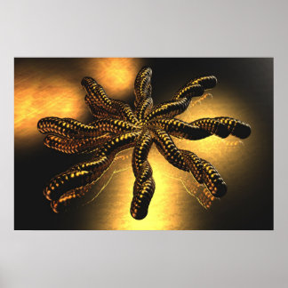 Poster Ouro Star (começa a US$ 12,80)