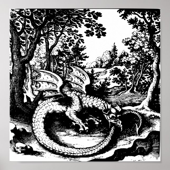 Poster Ouroboros Dragon (Frente)