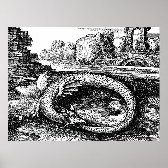 Poster Ouroboros Dragon (Frente)