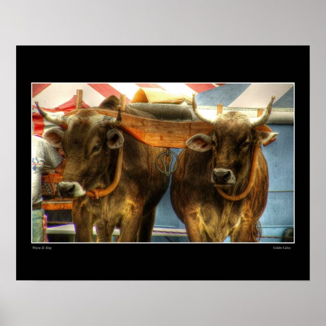 Pôster Ouros (Frente)