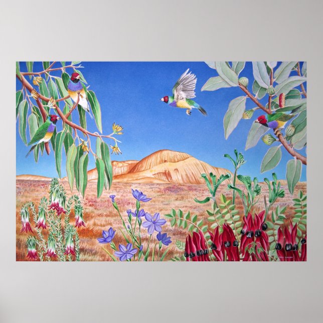 Poster Outback Australiano (Frente)