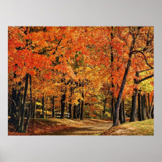 Pôster Outono 30