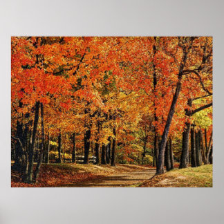 Pôster Outono 30