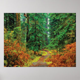 Pôster Outono 31 cmyk