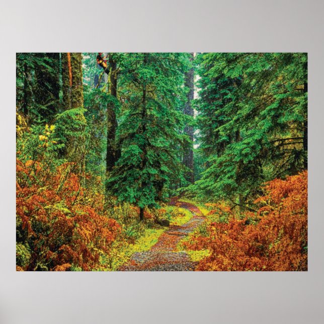 Pôster Outono 31 cmyk (Frente)