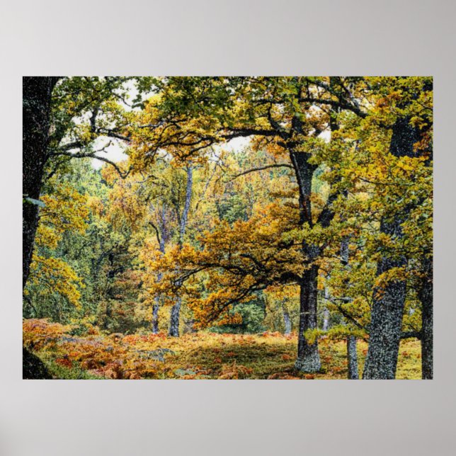 Pôster Outono 34 (Frente)