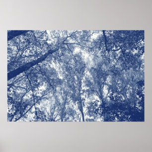 Poster Outono azul - efeito de Cyanotype