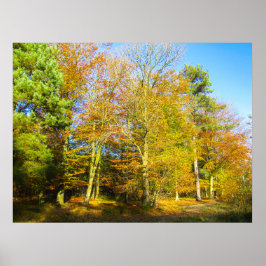 Poster Outono Bosques & Luz Solar - Personalizado
