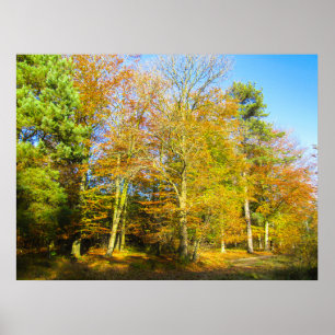 Poster Outono Bosques & Luz Solar - Personalizado