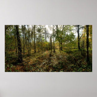 Pôster outono de médio,
