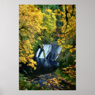 Poster outono do outono
