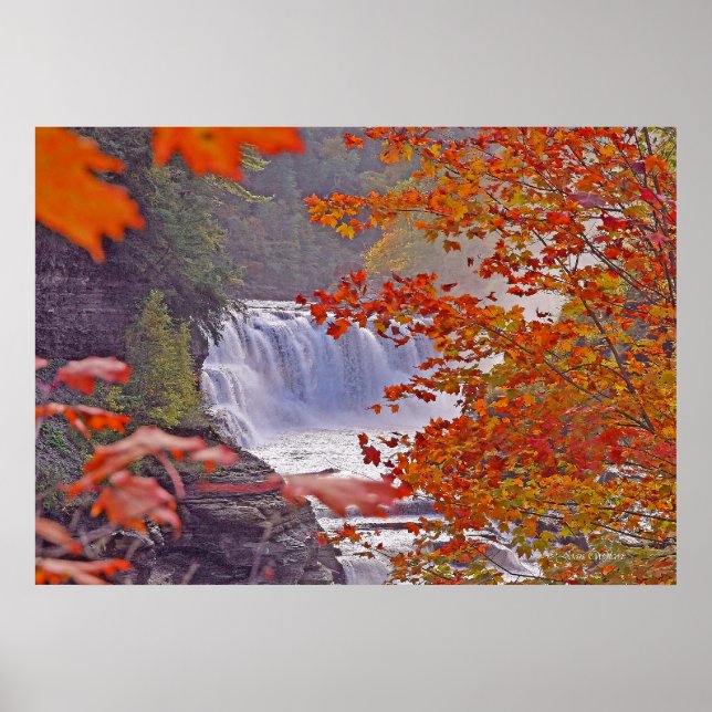 Pôster outono do outono (Frente)