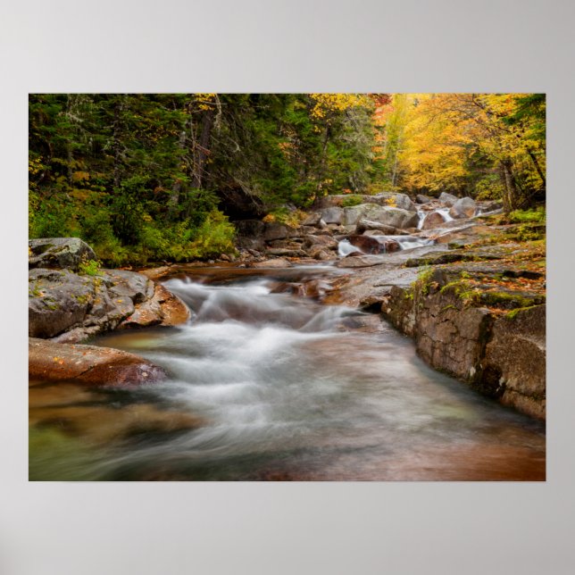 Poster Outono em Jefferson Brook, Nova Hampshire (Frente)
