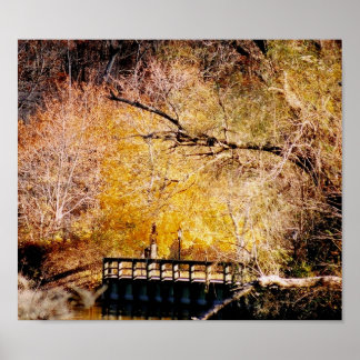 Pôster Outono em Long Island