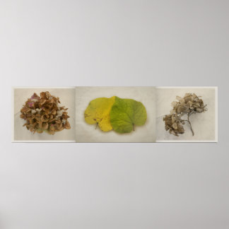 Poster outono flores triptiche