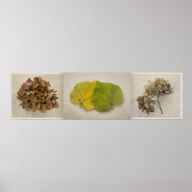 Poster outono flores triptiche (Frente)