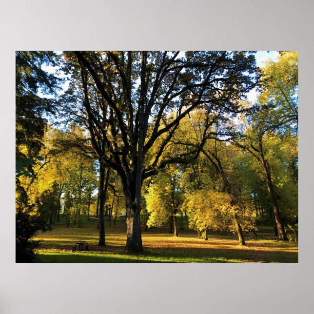 Poster Outono no Parque Estadual de Champoeg, OR (Frente)