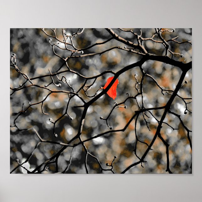 Poster outono tardio (Frente)