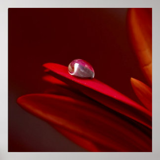 Pôster Outro tijolo na parede