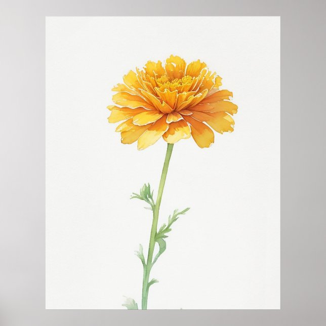 Poster Outubro Marigold Birth Flower (Frente)