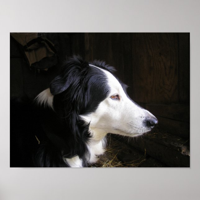 Poster "Ouvindo" (Frente)