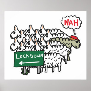 Poster Ovelha Anti-Bloqueio