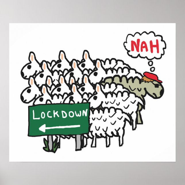 Poster Ovelha Anti-Bloqueio (Frente)