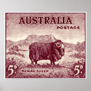 Poster Ovelha Merino Australiana de 1934