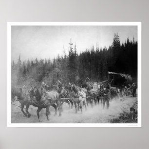Poster Overland Trail Horses Alaska 1908