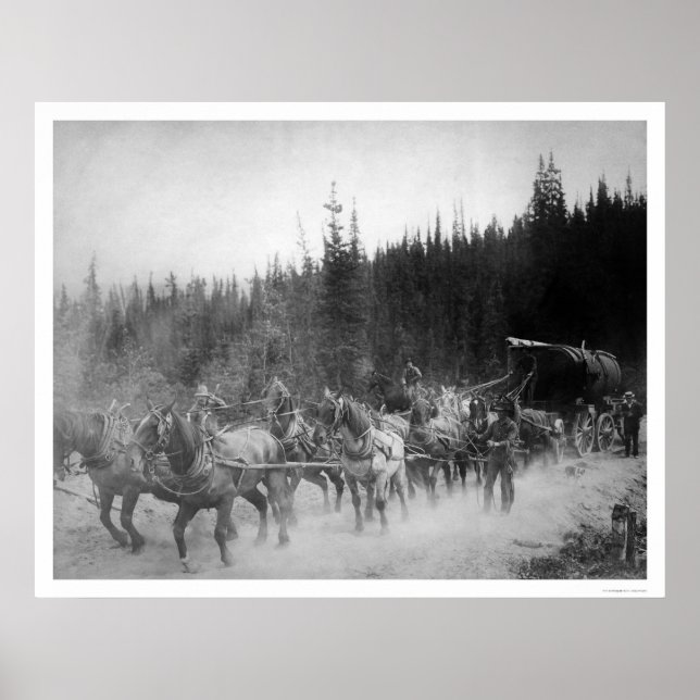 Poster Overland Trail Horses Alaska 1908 (Frente)