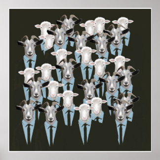 Poster Ovinos e Caprinos