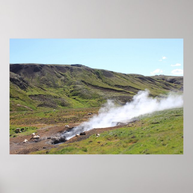 Poster Ovinos e primavera quentes (Frente)