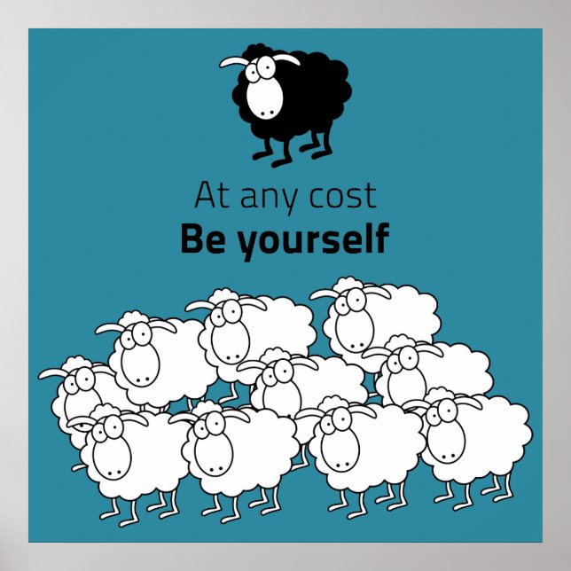 Pôster Ovinos, negros e brancos (Frente)