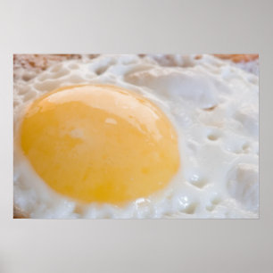 Poster Ovo