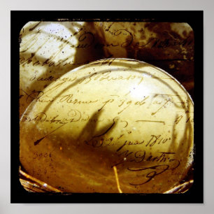 Pôster Ovos de codorniz