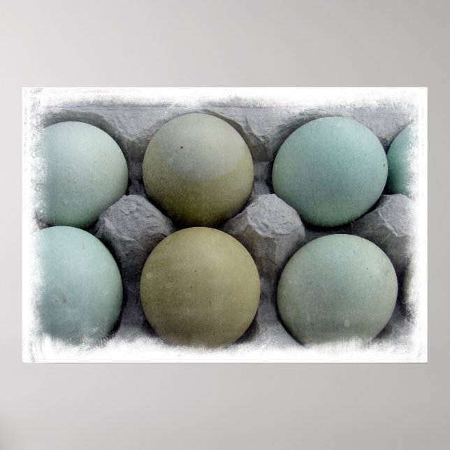 Pôster Ovos Verdes (Frente)