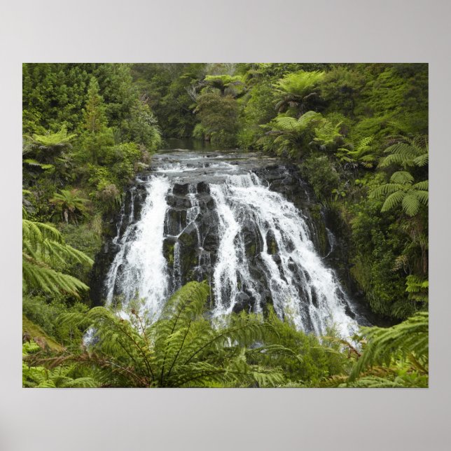 Poster Owharoa Falls, Karangahake Gorge, perto de Paeroa, (Frente)