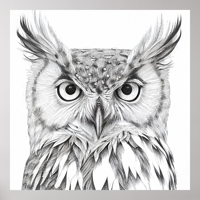 Poster Owl Bird Wild Nature - Ilustração Animal (Frente)