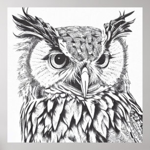 Poster Owl Bird Wild Nature - Ilustração Animal