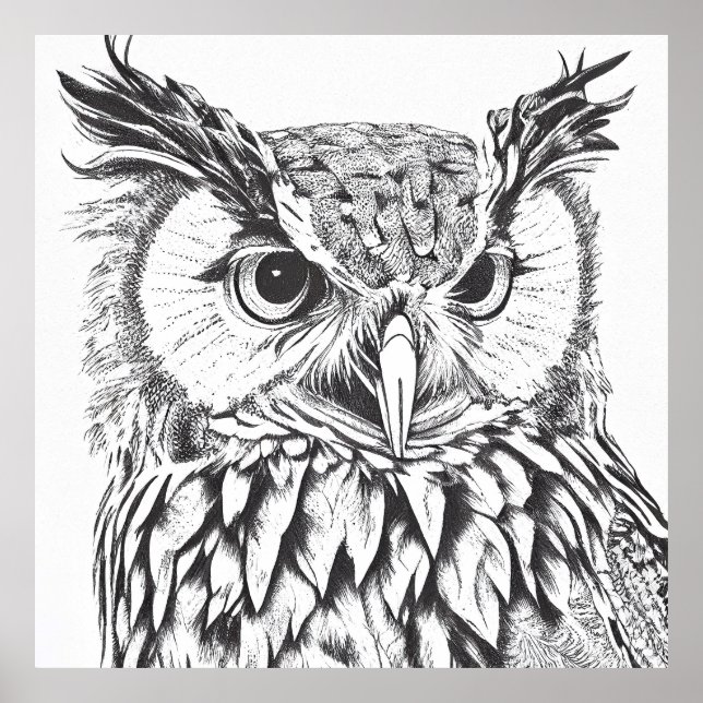 Poster Owl Bird Wild Nature - Ilustração Animal (Frente)