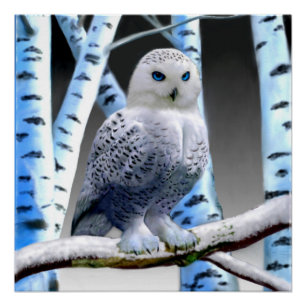 PÔSTER OWL DE NEVE AZUL