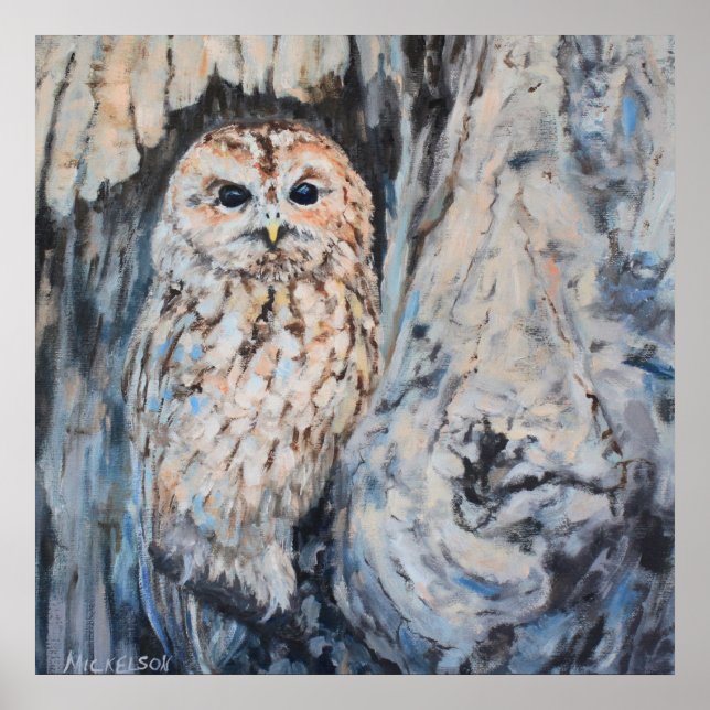 Poster Owl Hideout Fine Art Print (Frente)