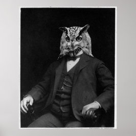 Poster Owl Inventor