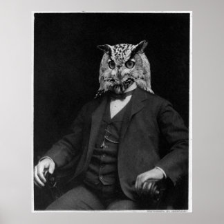 Poster Owl Inventor
