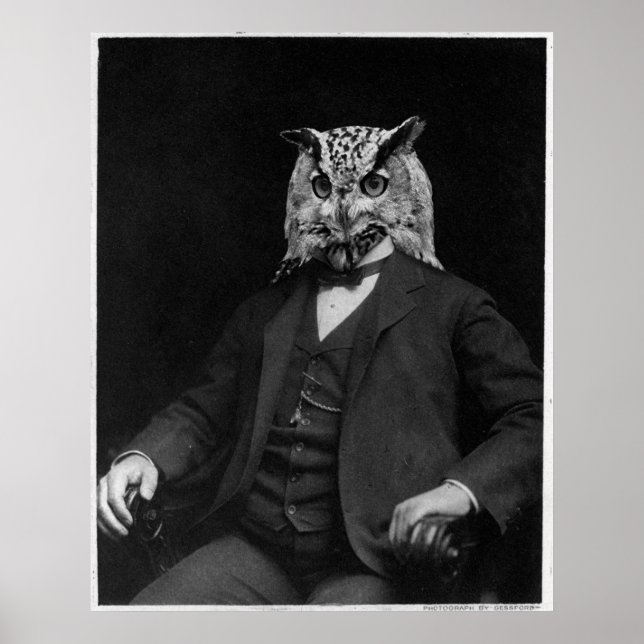 Poster Owl Inventor (Frente)