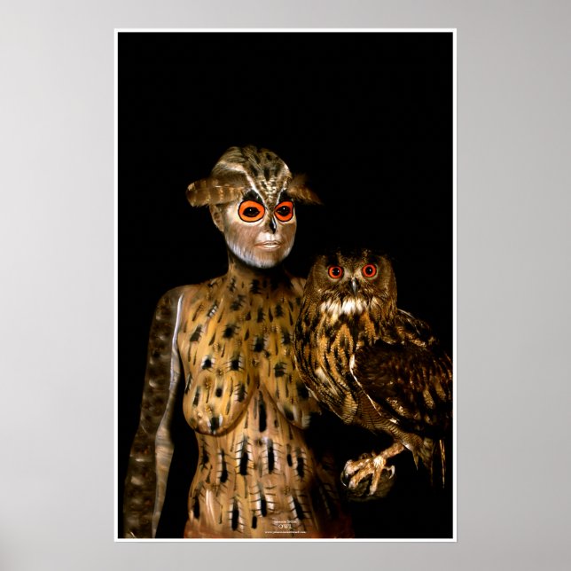 Pôster Owl por Johannes Stötter (Frente)