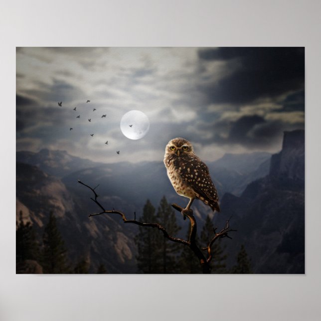 Poster-Owl Poster (Frente)