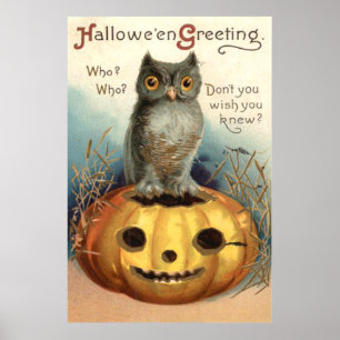 Pôster Owl Pumpkin Jack O Lanterna